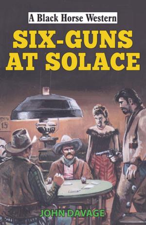 Cover of the book Six Guns at Solace by Will DuRey