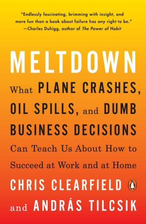 Cover of the book Meltdown by Paul Christopher