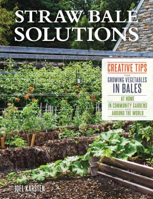 Book cover of Straw Bale Solutions
