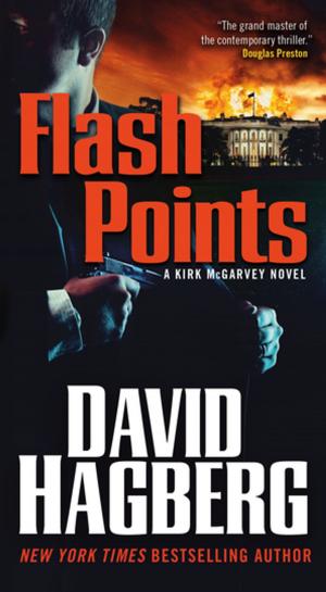 Cover of the book Flash Points by Julia Keller