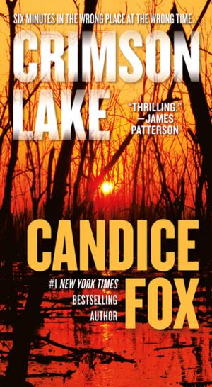 Cover of the book Crimson Lake by Robert Jordan, Brandon Sanderson