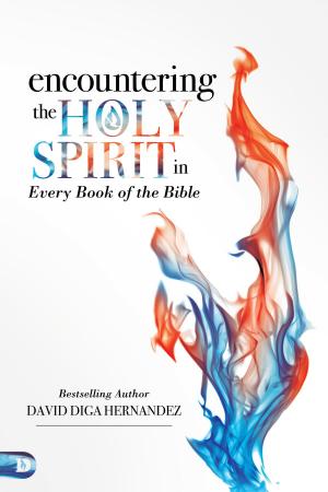 Cover of the book Encountering the Holy Spirit in Every Book of the Bible by Terry Nance