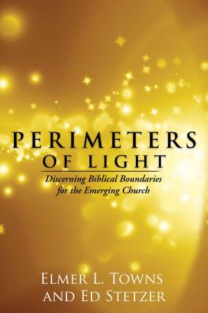 Book cover of Perimeters of Light