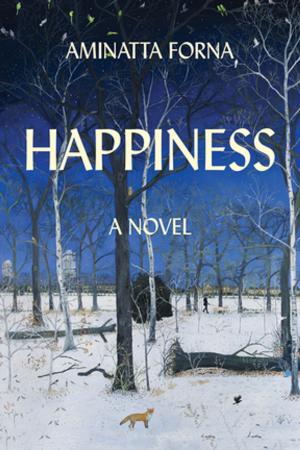Cover of the book Happiness by Audrey Magee