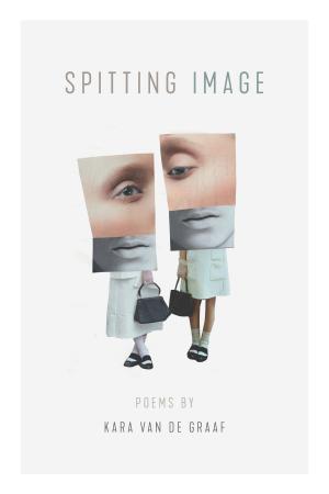 Cover of the book Spitting Image by Donald Lazere