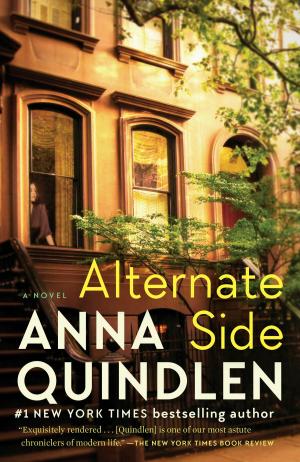 Cover of the book Alternate Side by James Ebert