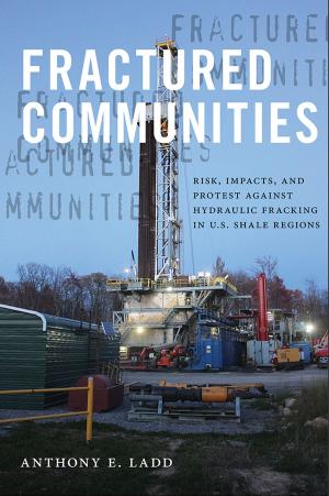 Cover of the book Fractured Communities by Deborah A. Harris, Patti Giuffre