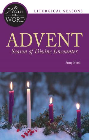 Cover of the book Advent, Season of Divine Encounter by John Wynn
