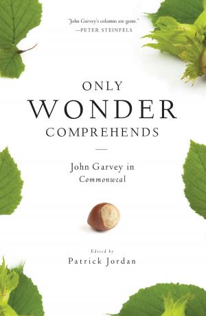 Cover of the book Only Wonder Comprehends by 