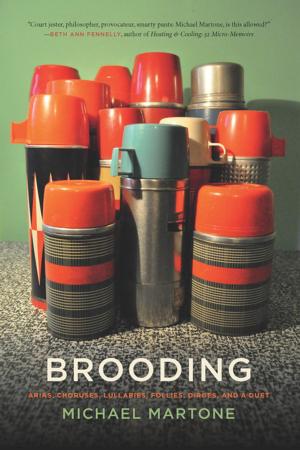 bigCover of the book Brooding by 