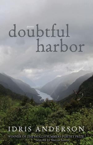 Cover of the book Doubtful Harbor by Wendy Welch