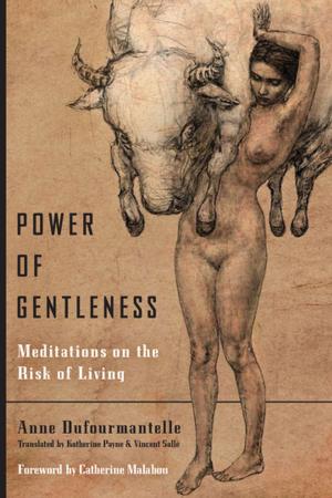 Cover of the book Power of Gentleness by Richard Baxstrom, Todd Meyers