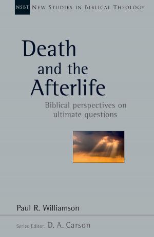 Book cover of Death and the Afterlife