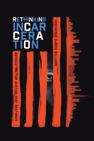 Cover of the book Rethinking Incarceration by Dr. David A. Anderson