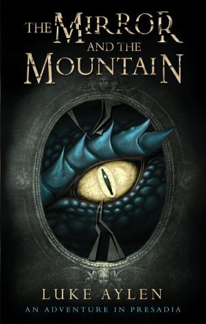 bigCover of the book The Mirror and the Mountain by 