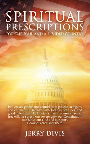 Book cover of Spiritual Prescriptions for the Soul and a Divided Country