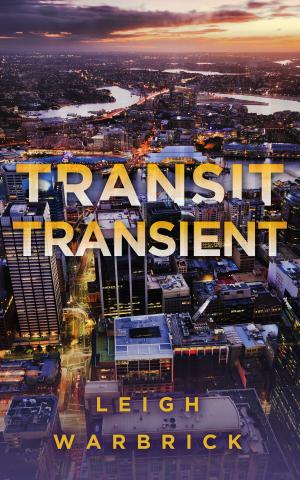 Cover of the book Transit Transient by Margaret Wander Bonanno