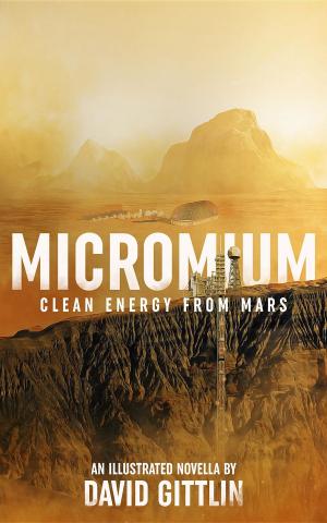 Cover of the book Micromium by Archer Kay Leah