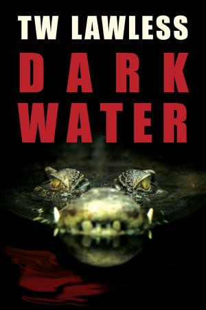 Cover of the book Dark Water by Matty Dalrymple