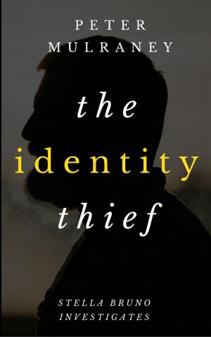 Cover of The Identity Thief