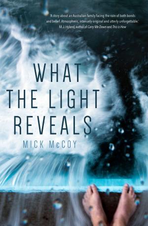 Cover of the book What the Light Reveals by Kirsten Beyer