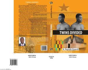 bigCover of the book TWINS DIVIDED by 