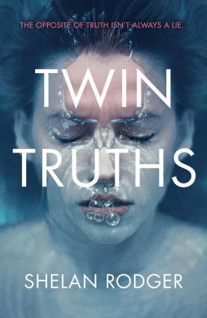 Cover of the book Twin Truths by David Hewson