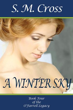 Cover of the book A Winter Sky by Deborah Tadema