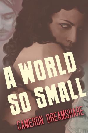 Cover of the book A World So Small by Lucinda Race