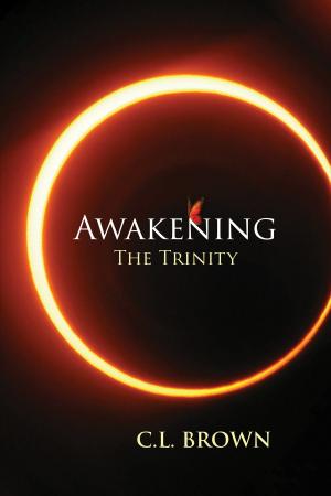 Book cover of Awakening The Trinity