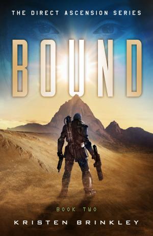 Cover of the book The Direct Ascension Series Bound Book Two by Chris Pourteau