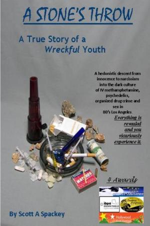 Cover of A Stone's Throw, The True Story of a Wreckful Youth