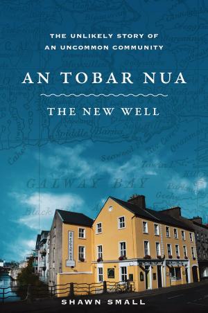 Cover of the book An Tobar Nua - The New Well by Rick Hoover