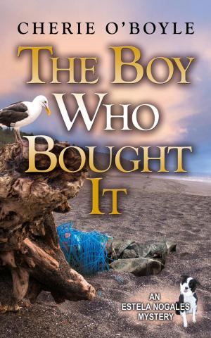 Cover of the book The Boy Who Bought It by Kathryn Long