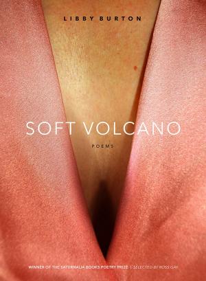 Cover of Soft Volcano