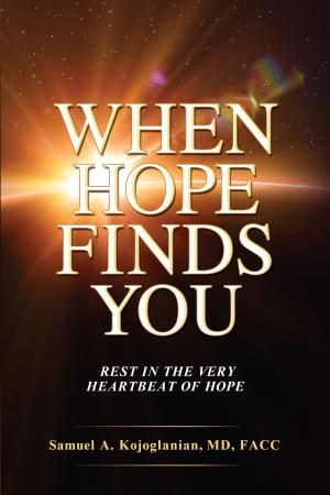 bigCover of the book When Hope Finds You by 