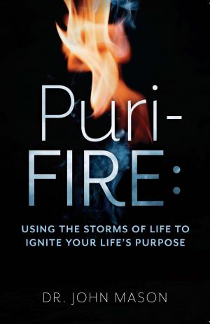 Cover of the book Puri-Fire by Diogo Esteves