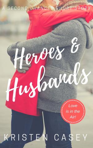 Book cover of Heroes & Husbands