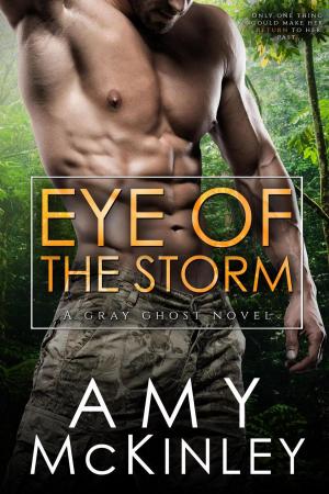 Cover of the book Eye of the Storm by Dj Warner