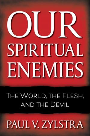 Cover of the book Our Spiritual Enemies by Nichole Marbach
