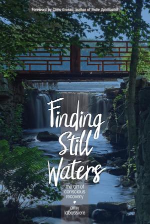 Cover of the book Finding Still Waters by Parfessionals Behavorial Health Research Development Corporation
