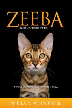 Cover of the book Zeeba by Shamine McDowell