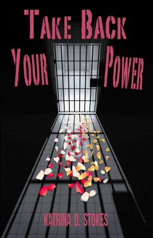 Cover of the book Take Back Your Power by Brigitte Lessard-Deyell