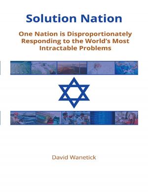 Cover of the book Solution Nation: One Nation is Disproportionately Responding to the World's Most Intractable Problems by 商業周刊