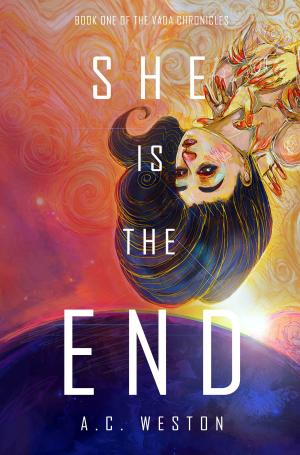 Cover of the book She Is the End by Michael Barnett