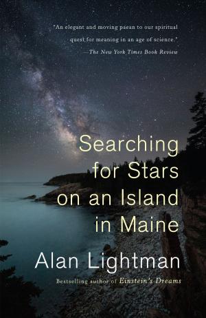 Cover of the book Searching for Stars on an Island in Maine by Christopher Reich