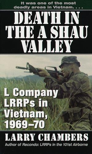 Cover of the book Death in the A Shau Valley by David Gibbins