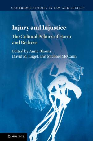 Cover of the book Injury and Injustice by Louise Cummings