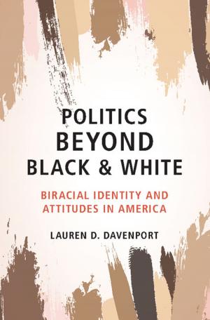 Cover of the book Politics beyond Black and White by Dr Eric S. Hsu, Dr Charles Argoff, Dr Katherine E. Galluzzi, Dr Raphael J. Leo, Dr Andrew Dubin