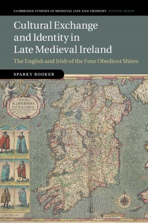 Cover of the book Cultural Exchange and Identity in Late Medieval Ireland by Vincenzo Pecunia, Marco Fattori, Sahel Abdinia, Henning Sirringhaus, Eugenio Cantatore